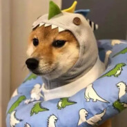 精致的珠珠男孩