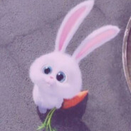 兔子不爱吃萝北