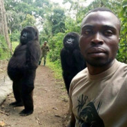 果冻只吃喜之郎