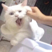 好少年永垂不朽