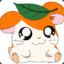 Hamtaro