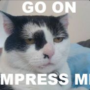 Padre - steam id 76561197968372806