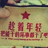 一只海龟成功出水