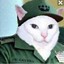 Fidel Catto