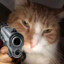 The Purrminator