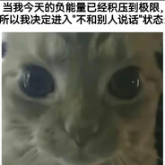 没有成不了的环