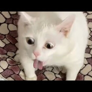 explosiver†Spritzschiss†