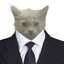 mr.kotletka
