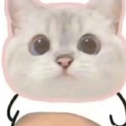 一日十冲
