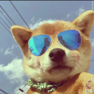 三上春风吹优雅