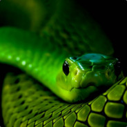 TradeBot•F ► Snake OFFLINE