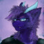 Procyon Dark-Star