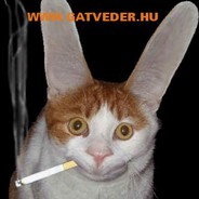Simpf Zoltán - steam id 76561197964361715