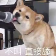 别喷我我是真的菜