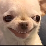 TRAUMACENTER - steam id 76561199065540824