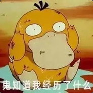 甲鸟