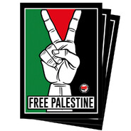 CHAPO - steam id 76561199807203997