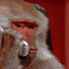 Return2Monke