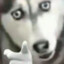 type_pang