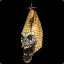 IT&#039;S IN THE CORN!!!