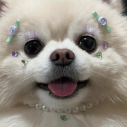 都不知道这把狙在架谁