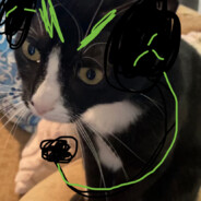 Dingus_Actual