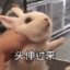三文鱼