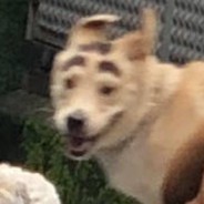 半夜不睡觉是会猝死的