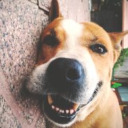 丿断肠人灬在天涯°