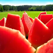 水晶西瓜炖葛根