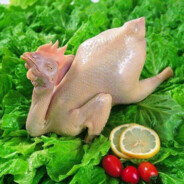 冒蓝火的加特林