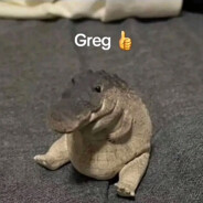 Greg👍