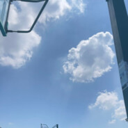 毫无理智的色蓝！