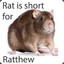 Ratthew