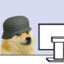 MISTER DOGE