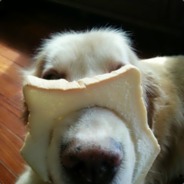 南拳北腿孫中山