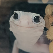 精神病院在逃蘑菇