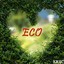 ム ECO