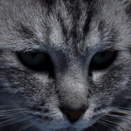 美少女战士李云龙