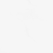 炸鱼的好恶心啊