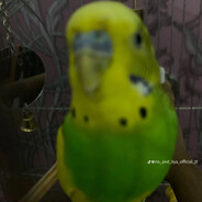 Влад пивна кружка