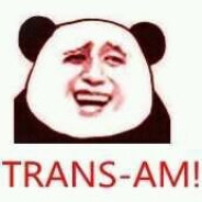 叱咤月海鱼鱼猫