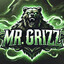 MR.Grizz