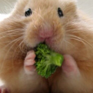 уймись поруся