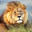 Pitombinha