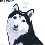 你还喜欢阿狗吗？