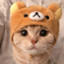 meow meow