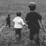 踩死小雞要賠錢