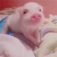 咸蛋超人不吃蛋