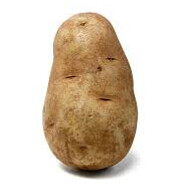 Potato